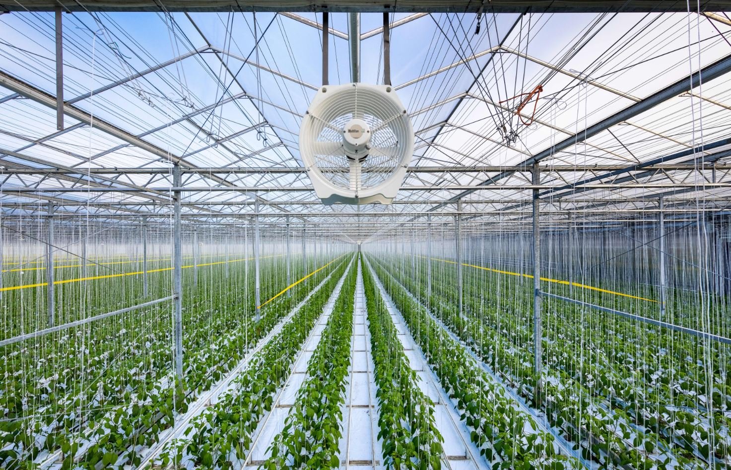 Greenhouse exhaust fan deals